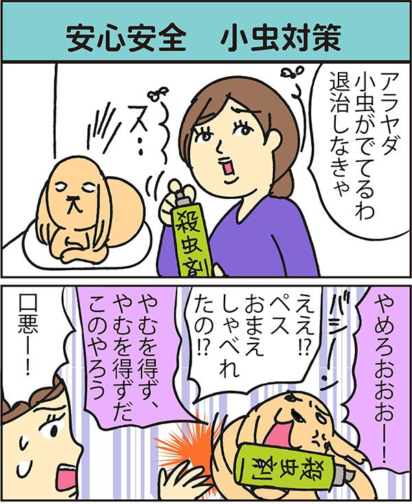 安心安全　小虫対策 data-no-retina=