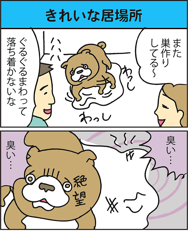 きれいな居場所 data-no-retina=