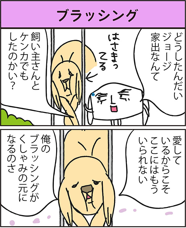 ブラッシング data-no-retina=