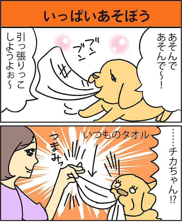 いっぱいあそぼう data-no-retina=