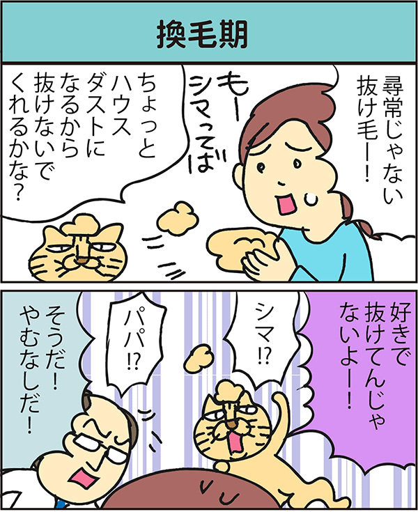 換毛期 data-no-retina=