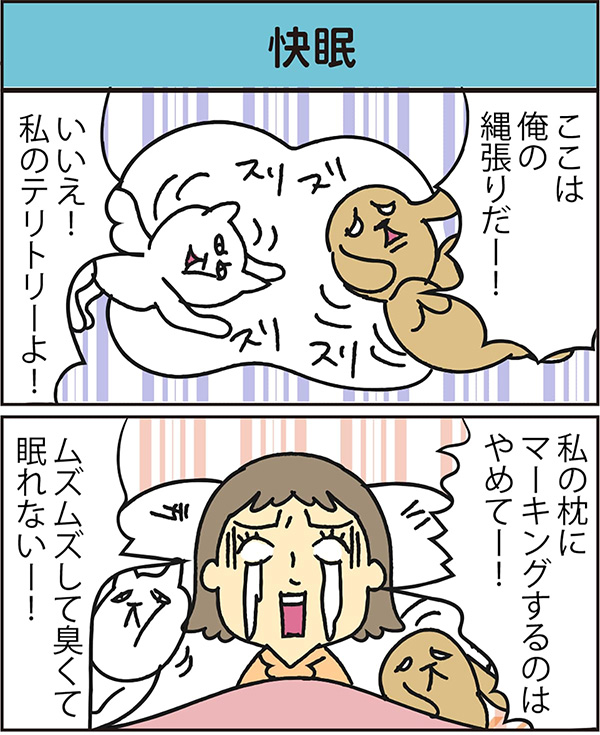 快眠 data-no-retina=