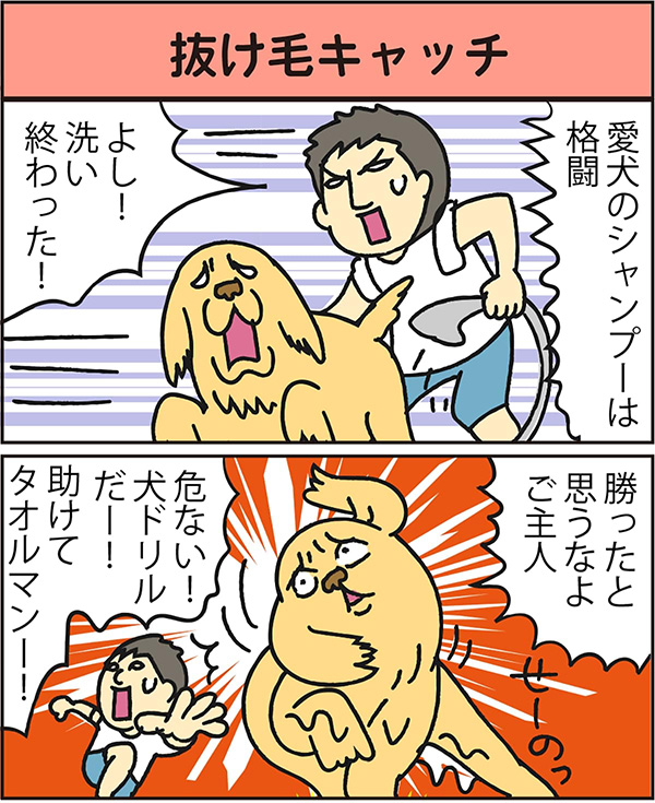 抜け毛キャッチ data-no-retina=