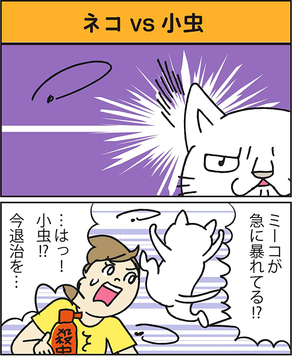 ネコvs小虫 data-no-retina=